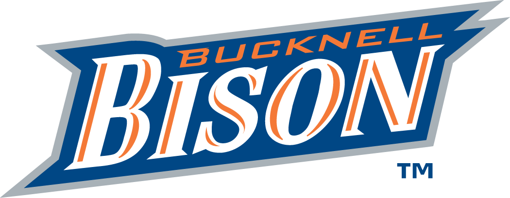 Bucknell Bison 2002-Pres Wordmark Logo iron on paper